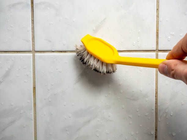Professional Mold Remediation in Chickasaw, AL