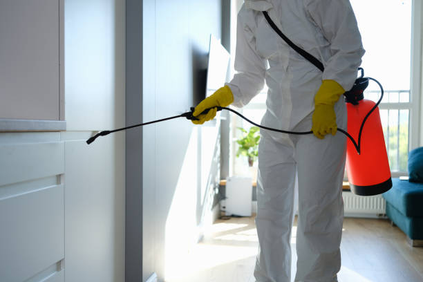 Best Residential Mold Remediation in Chickasaw, AL