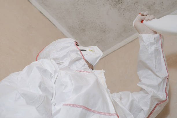 Best Health and Safety Mold Remediation in Chickasaw, AL