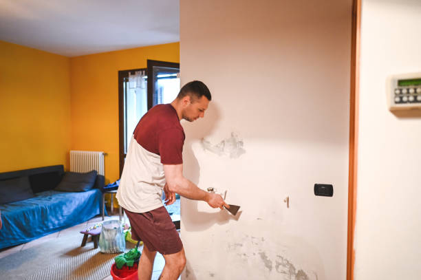 Best Attic Mold Remediation in Chickasaw, AL